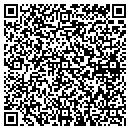QR code with Progress Associates contacts
