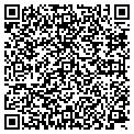 QR code with Y M C A contacts
