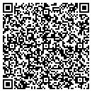 QR code with Pyraeye Solutions contacts