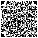 QR code with Projdel Corporation contacts