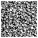 QR code with Public Storage contacts