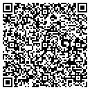 QR code with Pro Graphics Systems contacts