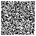 QR code with McCdp contacts