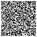 QR code with Pullins Group LLC contacts