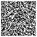 QR code with Castle Apartments Inc contacts