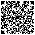 QR code with G Wizz contacts