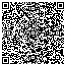 QR code with Bluestarr Network contacts