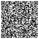 QR code with Publishing Systems Inc contacts
