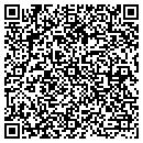QR code with Backyard Birds contacts