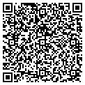 QR code with Stout contacts