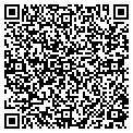 QR code with Glwbnet contacts