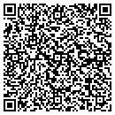 QR code with Blue Ribbon Stencils contacts
