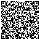 QR code with Pvf Capital Corp contacts