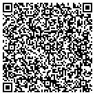 QR code with Blue Mango Multi Media contacts