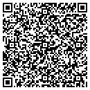 QR code with Pyramid Pipeline Inc contacts