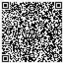 QR code with Pz Wright Son contacts