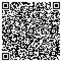QR code with Pace contacts