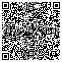QR code with Curves contacts