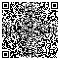 QR code with L Sapp contacts