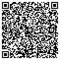 QR code with IBEW contacts