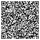 QR code with Crucial Air LLC contacts