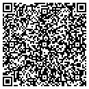 QR code with Cat Stone Group Inc contacts