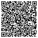 QR code with Curves contacts
