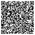 QR code with Figlio contacts
