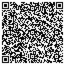 QR code with Blue Robot LLC contacts