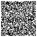 QR code with Precision Controls Inc contacts