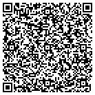 QR code with Public Safety Department contacts