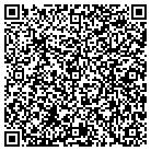 QR code with Pulsar IT Consulting Inc contacts