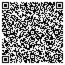 QR code with Precise Car Rental contacts
