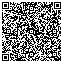 QR code with Cognisa Security contacts