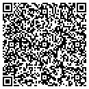 QR code with Pymer Plastering Inc contacts