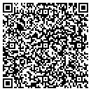 QR code with PPG Delaware contacts