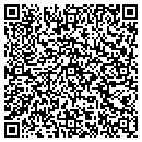 QR code with Colian's Stone Pit contacts