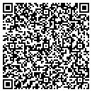 QR code with Punch Out Plus contacts