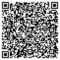 QR code with Mvlf contacts