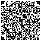 QR code with Pulsar IT Consulting contacts