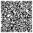 QR code with Clyde Public Library contacts
