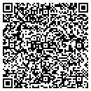 QR code with Castle's Gas & Deli contacts