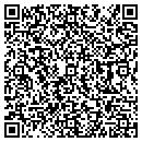 QR code with Project Vote contacts