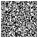 QR code with Pubco Corp contacts