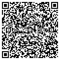 QR code with AMF contacts