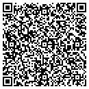 QR code with Carl D Hemming & Sons contacts