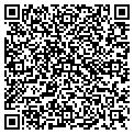QR code with Iggy's contacts