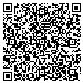 QR code with Y Dr T contacts