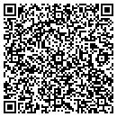 QR code with Project Team Solutions contacts