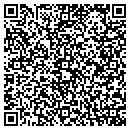 QR code with Chapin & Chapin Inc contacts